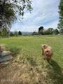 1150 Rio Verde Lane - Photo 49