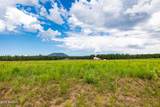 8914 Ranch At The Peaks Way - Photo 9