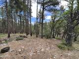 7070 Wild Flower Road - Photo 3