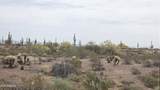 29540 Olesen Road - Photo 19