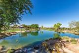 2699 Daisy Drive - Photo 47