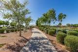 2699 Daisy Drive - Photo 53