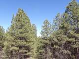 1601 Moqui Drive - Photo 1