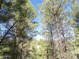 1601 Moqui Drive - Photo 10