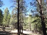 1601 Moqui Drive - Photo 11