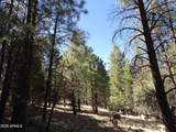 1601 Moqui Drive - Photo 12