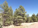 1601 Moqui Drive - Photo 3