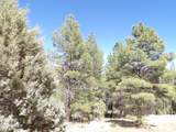 1601 Moqui Drive - Photo 4