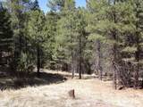 1601 Moqui Drive - Photo 7
