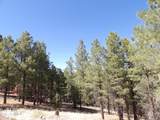 1601 Moqui Drive - Photo 9