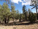 3642 Pinehurst Drive - Photo 11