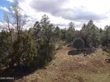 3642 Pinehurst Drive - Photo 6