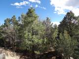3642 Pinehurst Drive - Photo 8