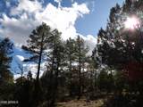 3642 Pinehurst Drive - Photo 9