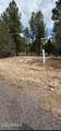2989 Robin Lane - Photo 2