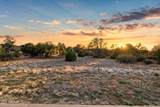 15380 Chloe Trail - Photo 24