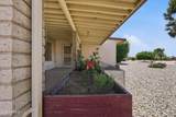 9633 Campana Drive - Photo 35