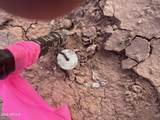 Tract 439 Painted Desert Ranches - Photo 11