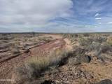 Tract 439 Painted Desert Ranches - Photo 6