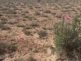 Tract 439 Painted Desert Ranches - Photo 8