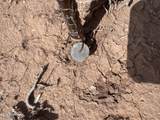 Tract 439 Painted Desert Ranches - Photo 9