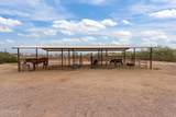 28433 Joliet Place - Photo 24