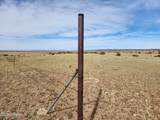 1470 Concho Highway - Photo 5