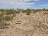 46586 Rawlings Trail - Photo 14