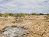 46586 Rawlings Trail - Photo 6