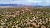31326 Cll Barril 9.34 Acres - Photo 10