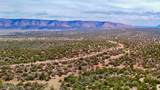31326 Cll Barril 9.34 Acres - Photo 11