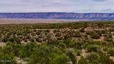 31326 Cll Barril 9.34 Acres - Photo 15