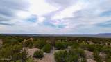 31326 Cll Barril 9.34 Acres - Photo 16