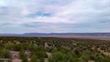 31326 Cll Barril 9.34 Acres - Photo 18