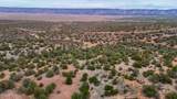 31326 Cll Barril 9.34 Acres - Photo 21
