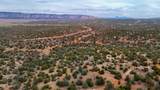 31326 Cll Barril 9.34 Acres - Photo 22