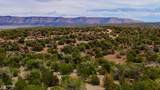 31326 Cll Barril 9.34 Acres - Photo 5