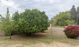 1030 Fairfield Street - Photo 16
