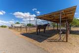 12368 Valley Farms Road - Photo 62