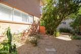 111 Palm Lane - Photo 29