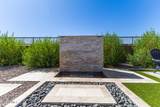 2953 Stargazer Drive - Photo 43