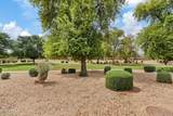 6425 Magnolia Street - Photo 24