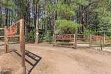 3910 Larson Loop - Photo 55