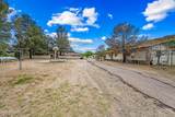 7358 Alamo Way - Photo 47