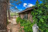 7358 Alamo Way - Photo 50