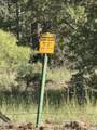 31 County Road N2163 Drive - Photo 57