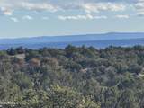 Lot 215 Woodland Valley Ranch - Photo 12