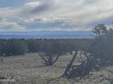 Lot 215 Woodland Valley Ranch - Photo 3