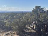 Lot 215 Woodland Valley Ranch - Photo 5