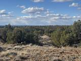 Lot 215 Woodland Valley Ranch - Photo 6
